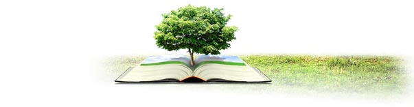 2013226115156696.jpg 2013226115156696.jpg